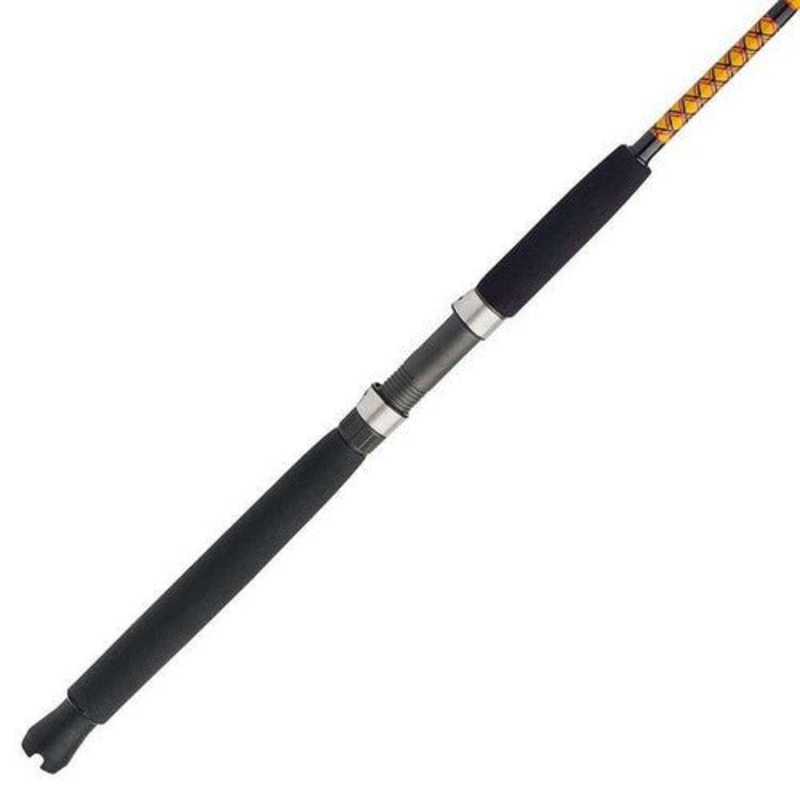 Shakespeare BWDD1230C102 Ugly Stik Bigwater Conventional 10' 2-Pc