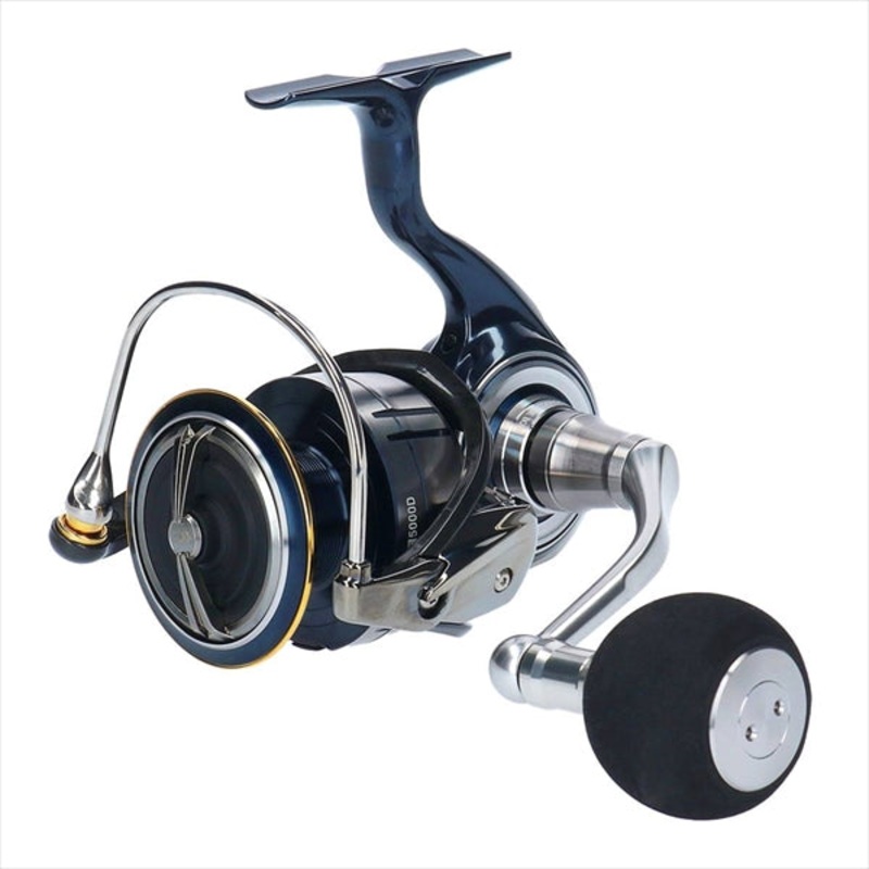 DAIWA Reel 19 Certate LT5000D