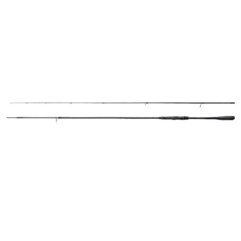 SHIMANO Seabass Rod 22 Exsence Infinity S96M (Spinning 2 Piece)
