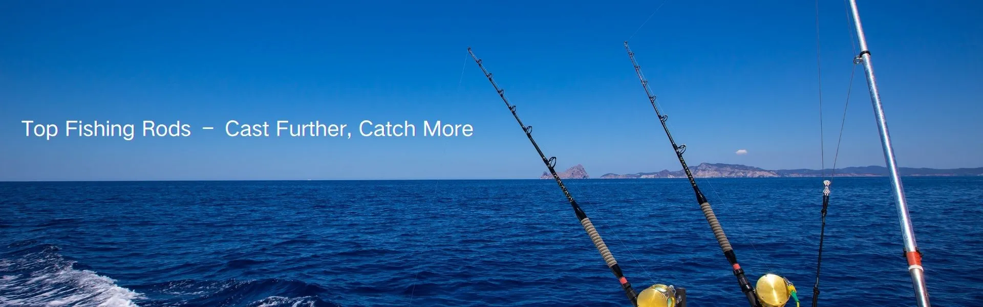 Top-Quality Fishing Rods for All Anglers – Spinning, Casting & Telescopic Rods On Sale